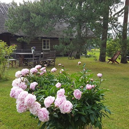 Maenni Summerhouse Kassari Exterior foto